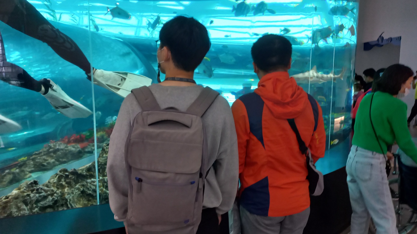 첨부파일